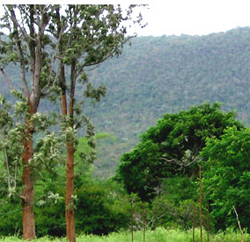 wild-valley-farm-resort-bangalore