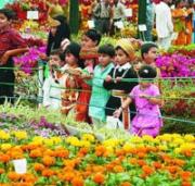 Flowers Show