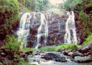 abbi falls