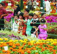 Flowers Show