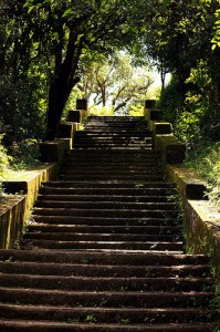 Kundadri Hills trek, Agumbe