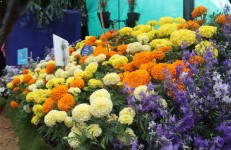Floriculture in Karnataka