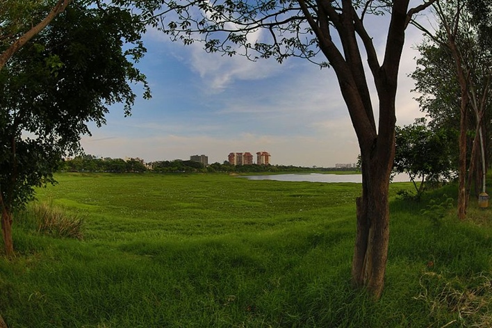 Agara_Lake Agara Lake, Lakes in Bangalore