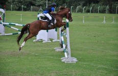 Equestrian Centre For Excellence