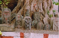 nagarapanchami. Photographer Dinesh Kannambadi