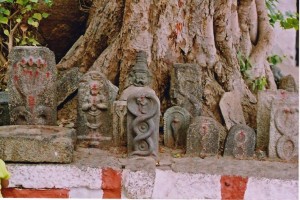 nagarapanchami. Photographer Dinesh Kannambadi