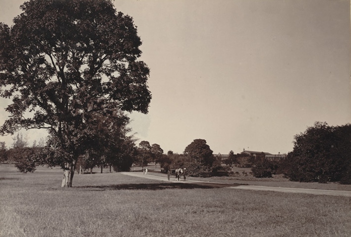 Cubbon Park