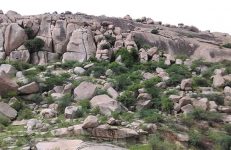 Ballari gudda, Bellary , Ballari