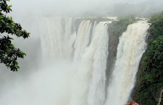 Jog falls, shimoga, sightseeing shimoga