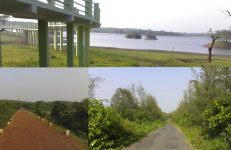 Attiveri Bird Sanctuary