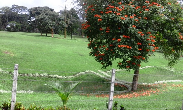 pollibetta, Near Virajpet