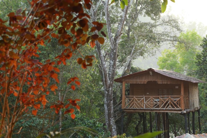 Silent Valley Resort, Chikmagalur Silent Valley Resort, Chikmagalur