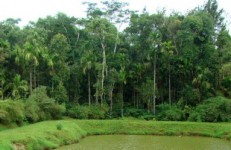 the hidden valley, chikmagalur