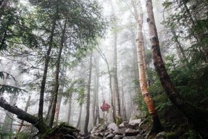 koppa trek
