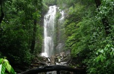 Kollur, Kodachadri Arasinagundi Falls, Kollur
