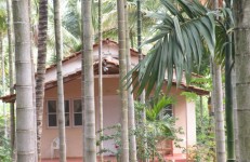 kanthi nivas resort, chikmagalur
