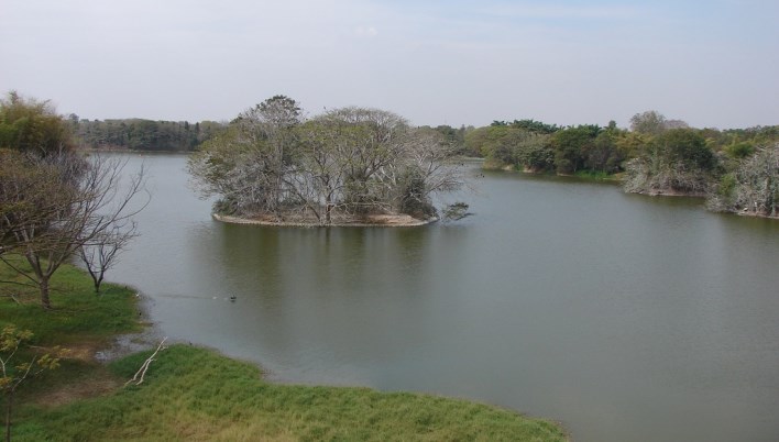 Karanji lake, Mysore. Photographer Nagesh Kamath Karanji lake, Mysore. Photographer Nagesh Kamath