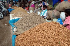 Groundnut festival in Basavangudi. Image source https://www.mangalorean.com/news.php?newstype=broadcast&broadcastid=102425