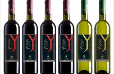 Yaana Wines, Bidar