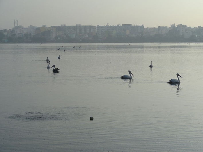 Madiwala_Lake-02 Madiwala Lake