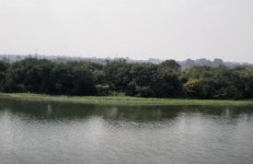 Hebbal Lake, Bangalore