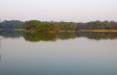 Lalbagh Lake, Bangalore