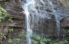 Shanti Falls, Chikmagalur