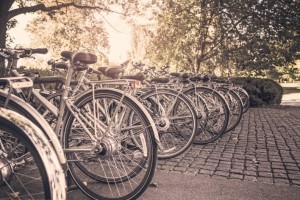cycle stand