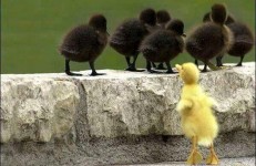 Have I been left behind in the rankings?