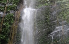Hidlumane Falls, Shimoga. Photographer Ramesh JS