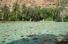 Pampa Sarovar, Anegundi, Anegondi