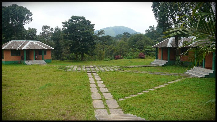 Tusk & Dawn, Sakleshpur. Photographer Prayanika Tusk & Dawn, Sakleshpur. Photographer Prayanika