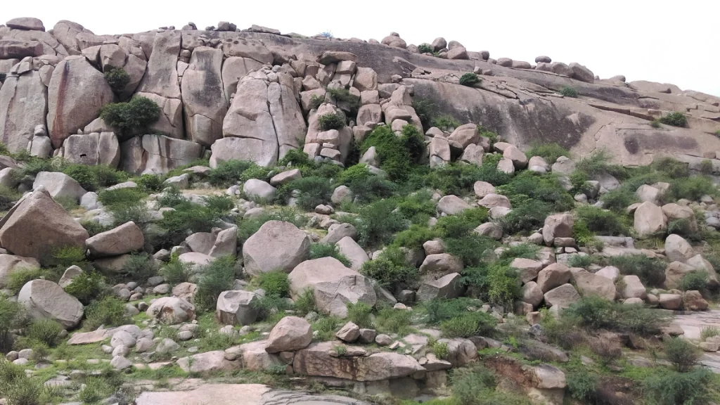 Ballari gudda,