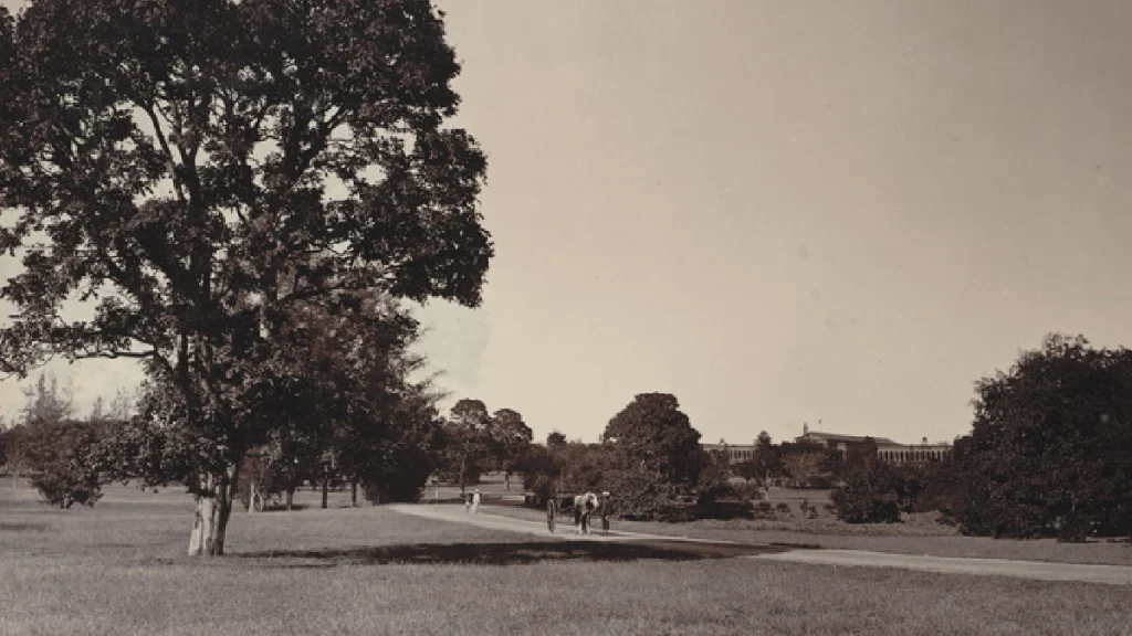 Cubbon Park, Bengaluru (1890).
