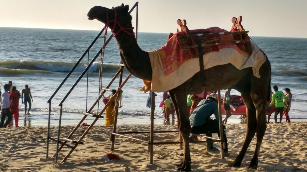 Malpe Beach, Udupi
