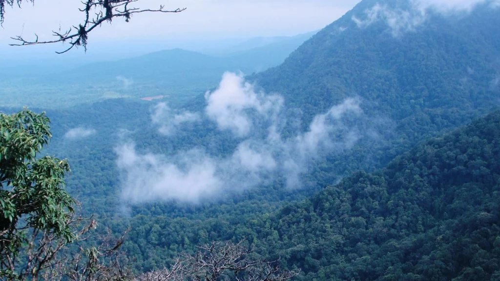 Agumbe View Point