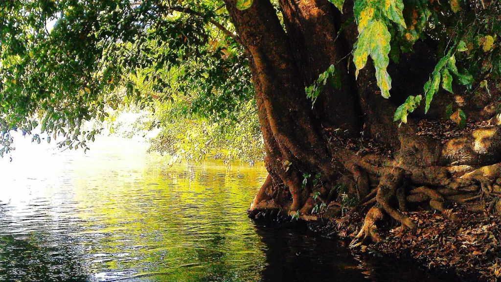 Dandeli-River-Kali Dandeli, River Kali