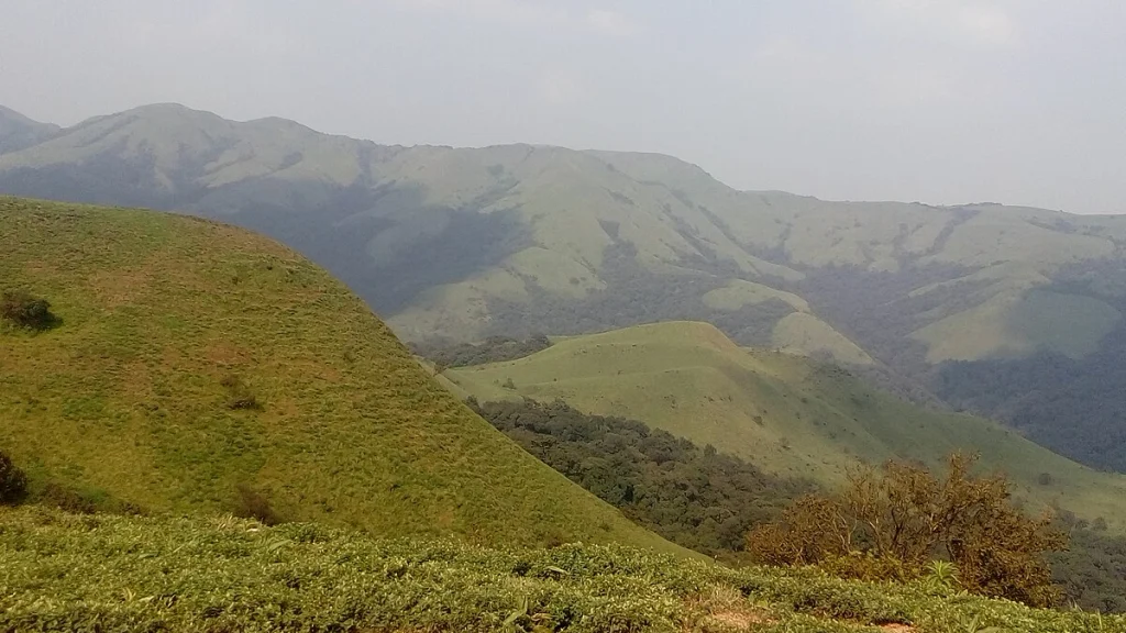 Pushpagiri-Wildlife-Sanctuary-1 Pushpagiri Wildlife Sanctuary