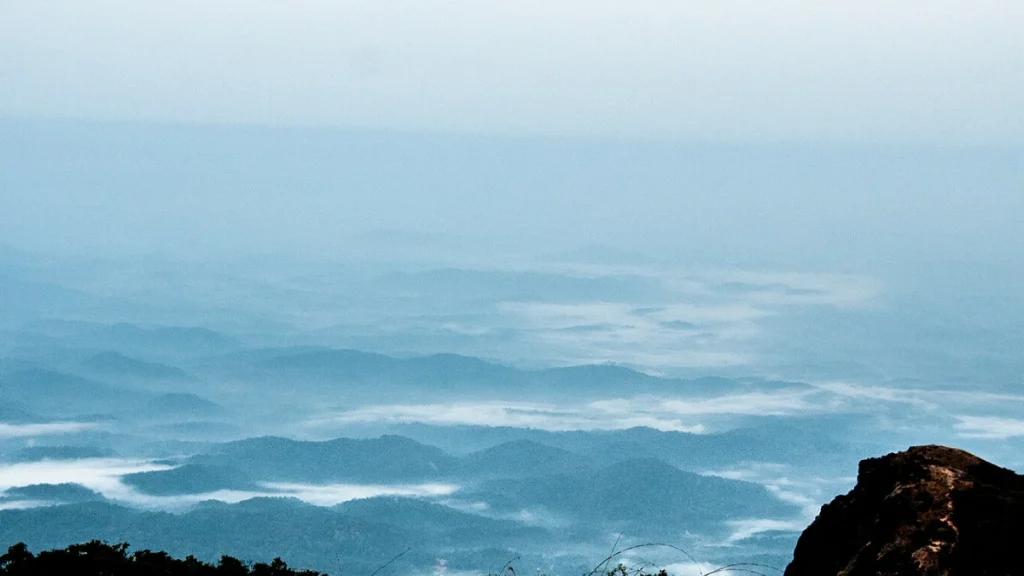Pushpagiri-Wildlife-Sanctuary Pushpagiri Wildlife Sanctuary
