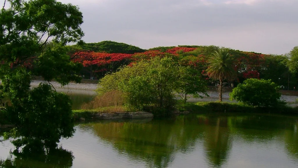 Lake-View-Lalbagh-Bangalorr Lake View, Lalbagh, Bangalore.