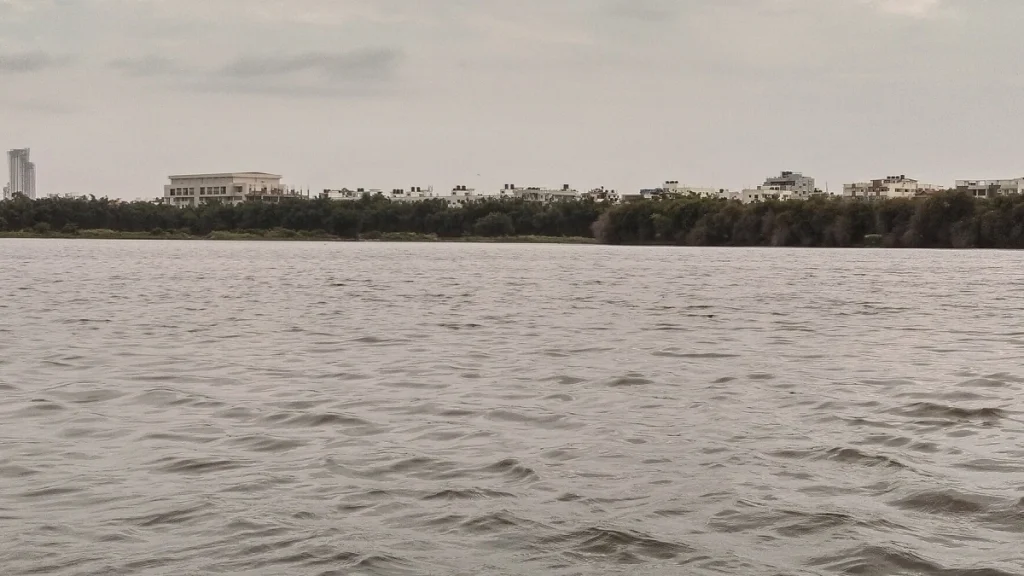 Madiwala-Lake Madiwala Lake.