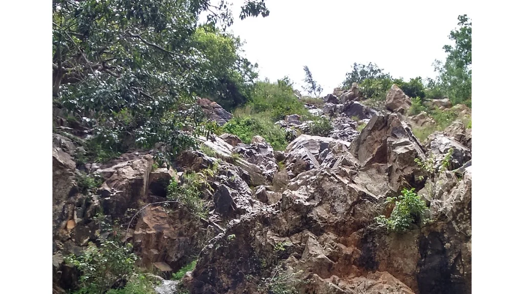 Muthyala-Madugu Muthyala Madugu