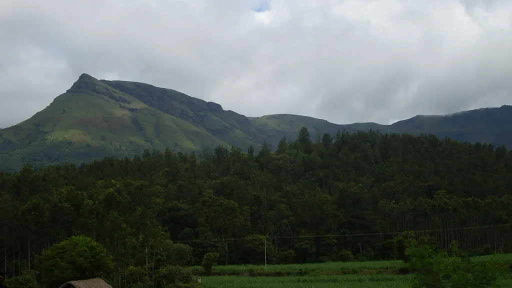 Kemmanagundi View