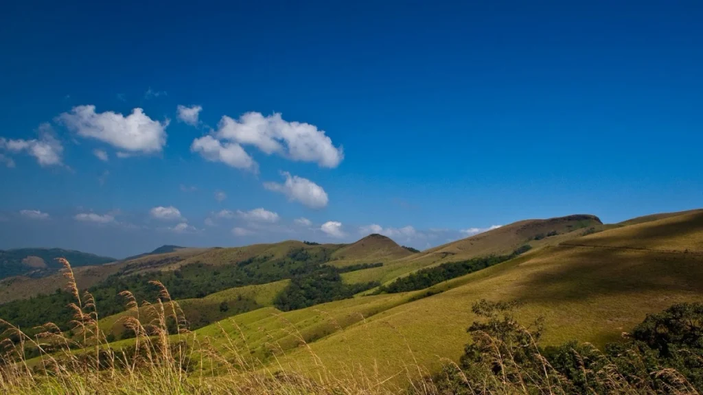 Kemmangundi Landscape