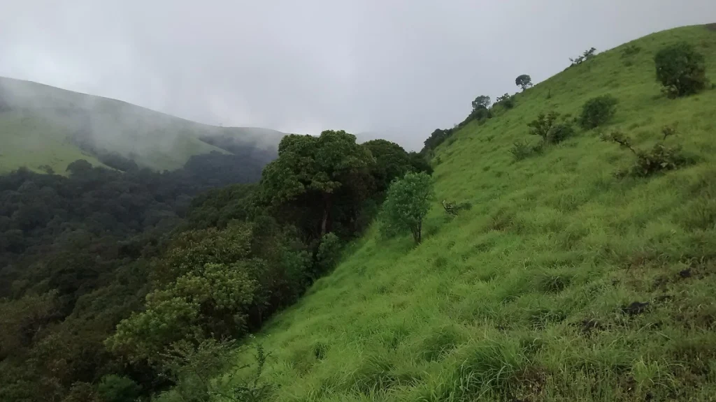 Kodachadri-Hills Kodachadri Hills