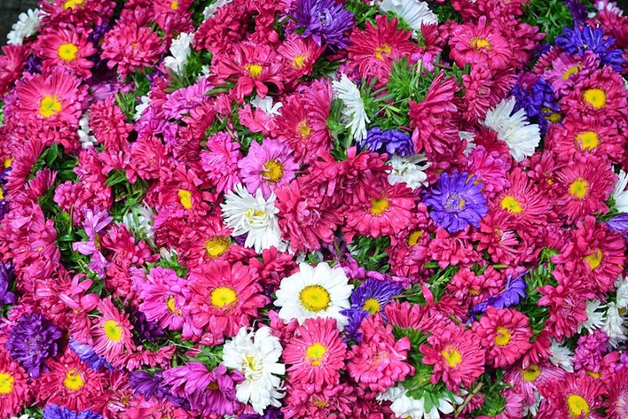Flowers,_Devaraja_Market_(01) Devaraja Market