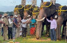 Dasara Jumbu Savari 2022