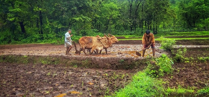 PM Kisan