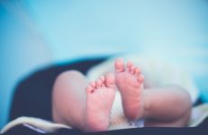 Birth certificates in Karnataka