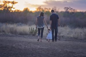 Adoption Trends In Karnataka